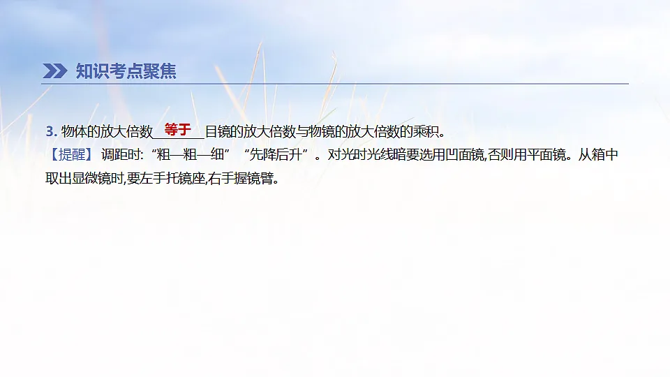 17894817第6页