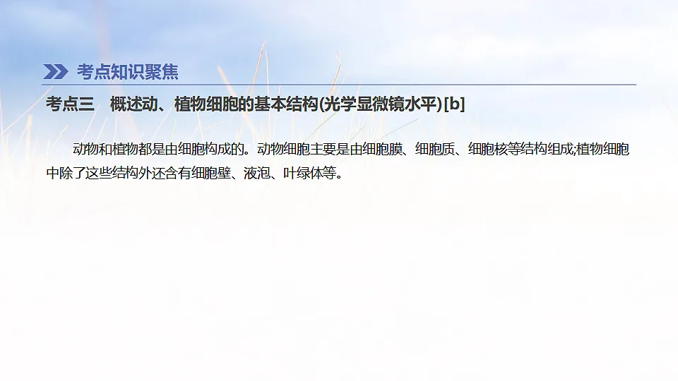 17894817第7页