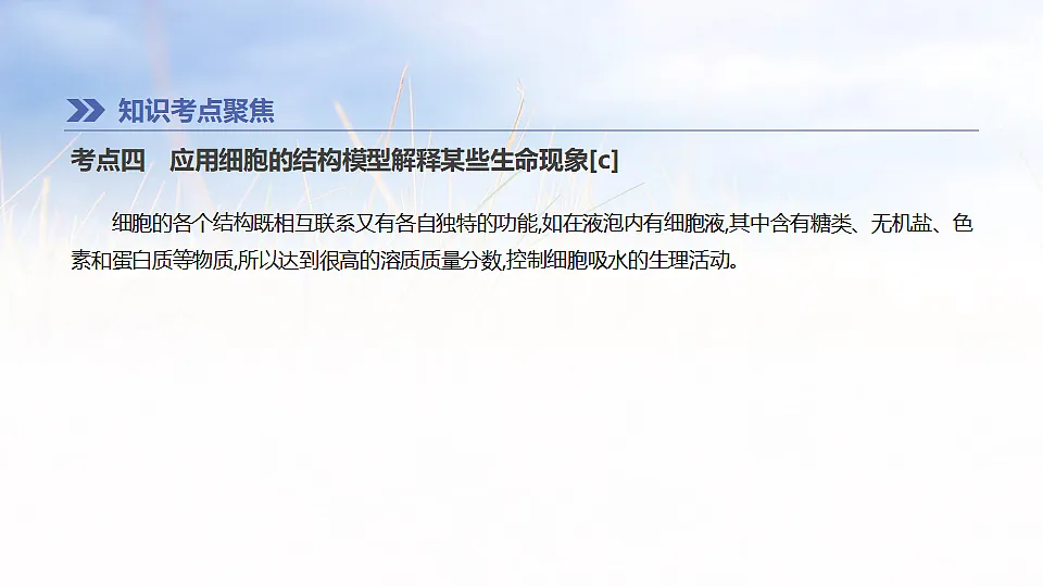 17894817第8页