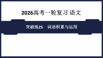 突破练25　词语积累与运用- 课件 2026高考语文 一轮复习 （含答案解析）