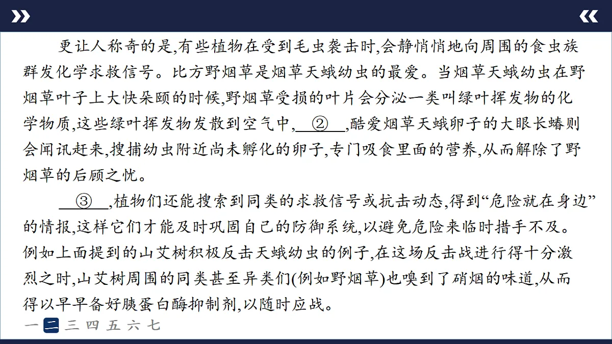17895251第8页
