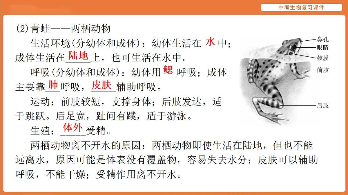 17895405第7页