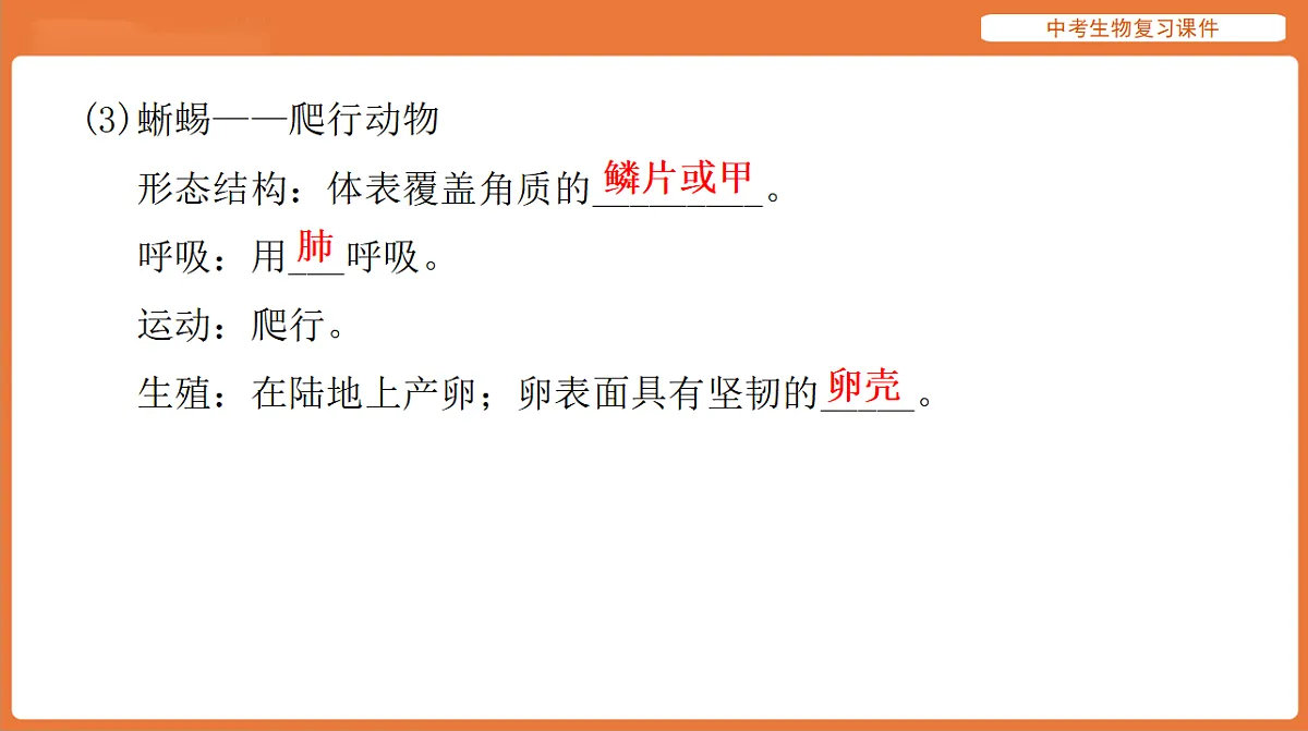 17895405第8页