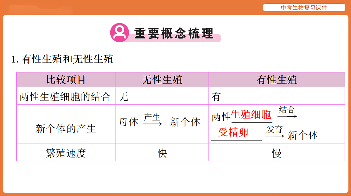 17895419第3页