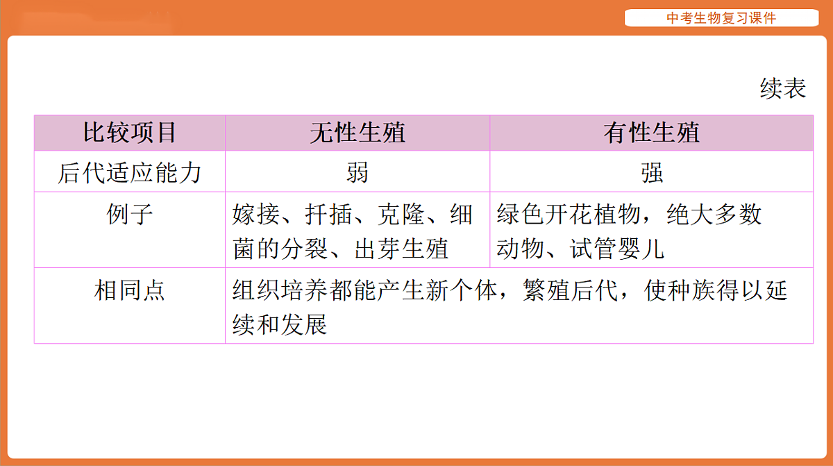 17895419第4页