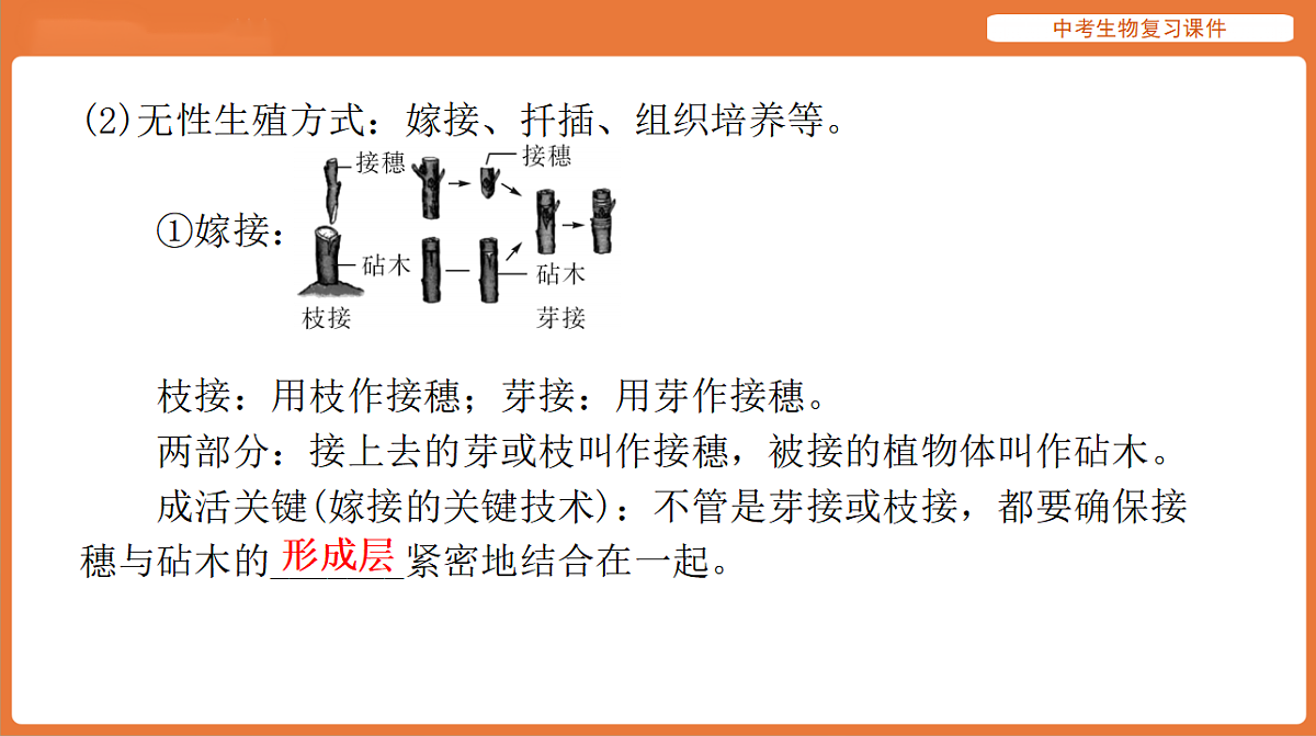 17895419第6页