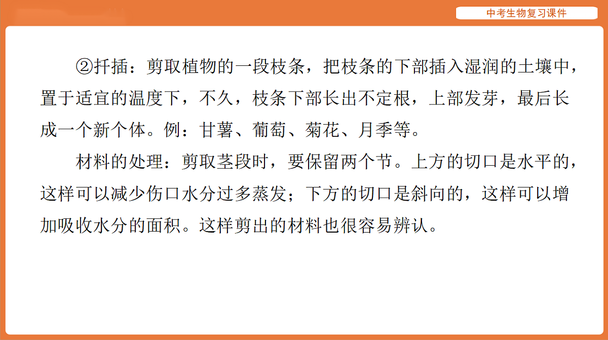 17895419第7页