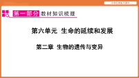 第六单元 生命的延续和发展 第二章 生物的遗传与变异-2026年中考生物一轮复习课件