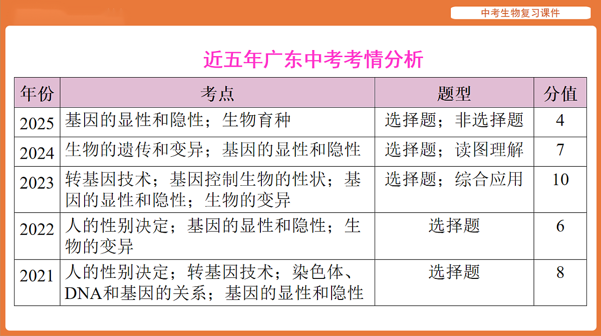 17895420第2页