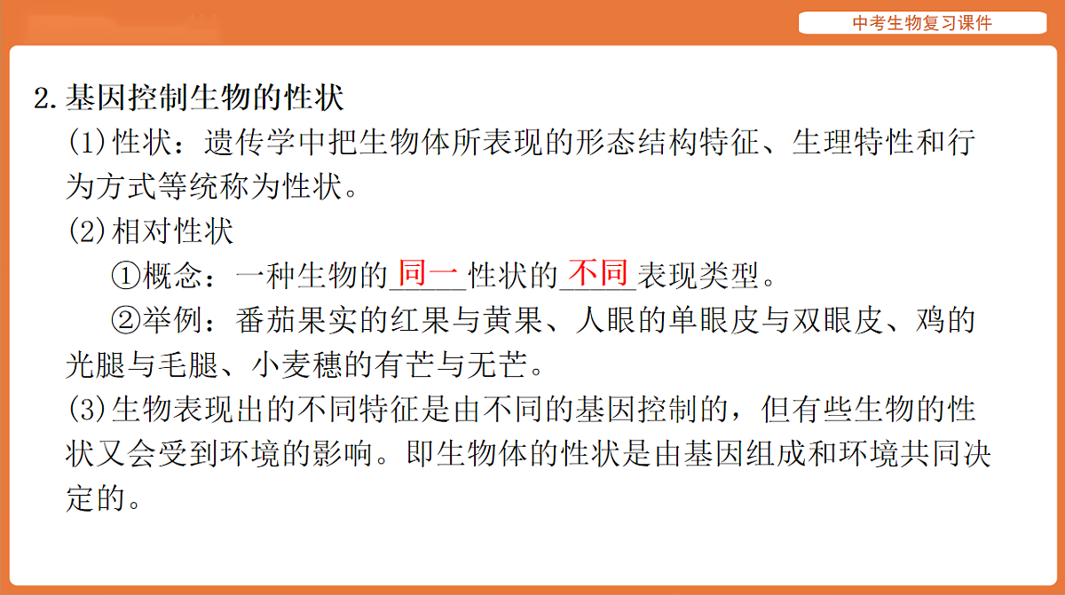 17895420第4页
