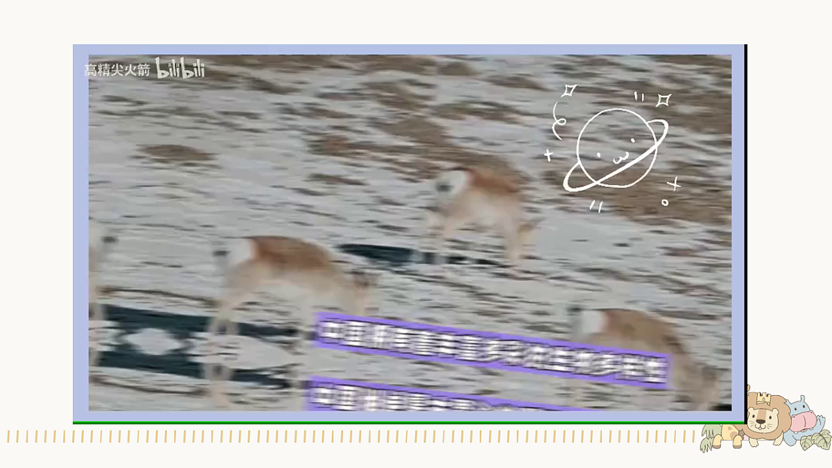 保护珍稀动物第4页