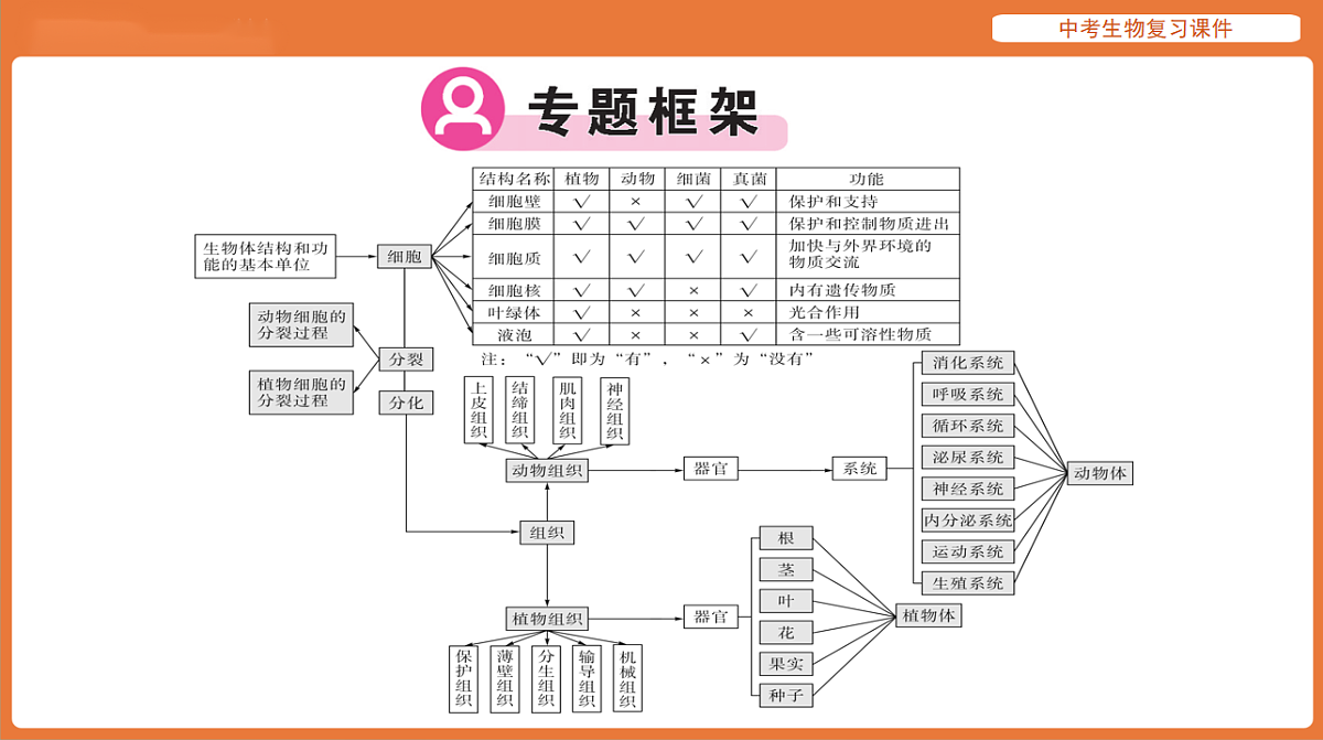 17895472第2页