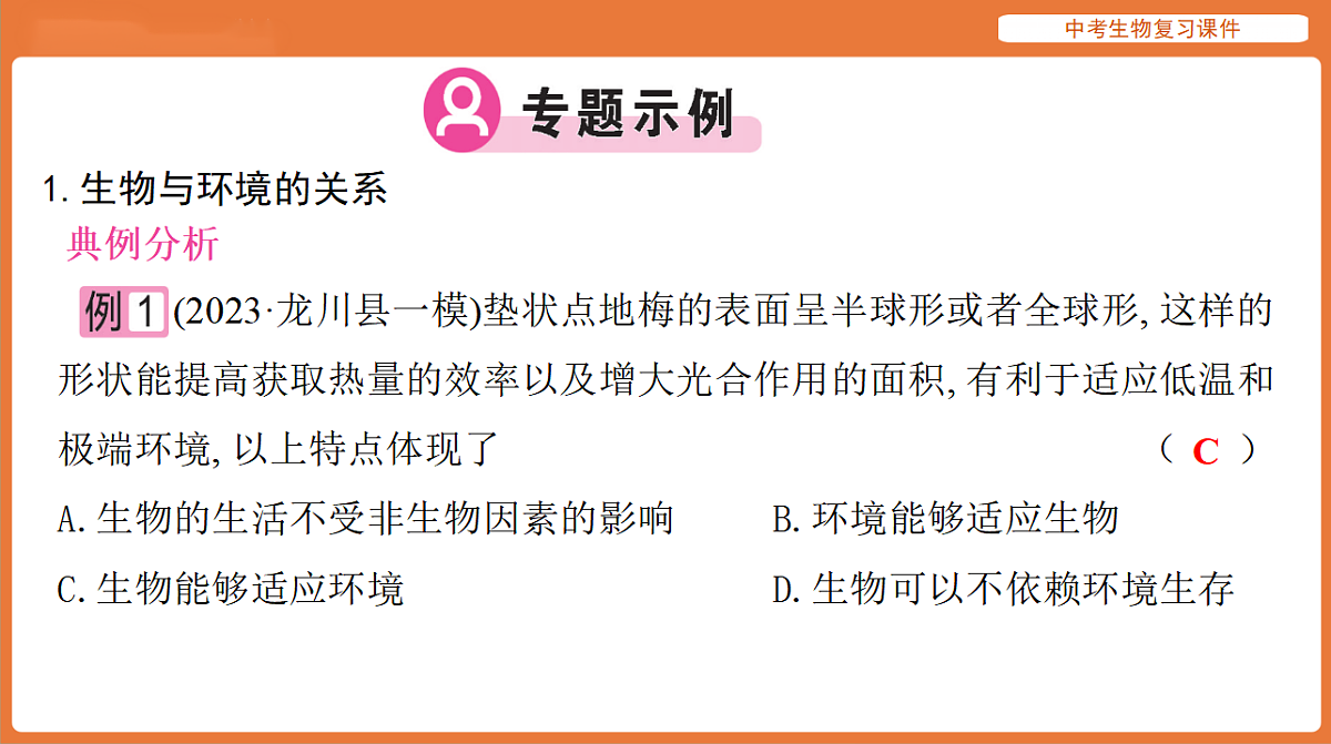 17895473第4页