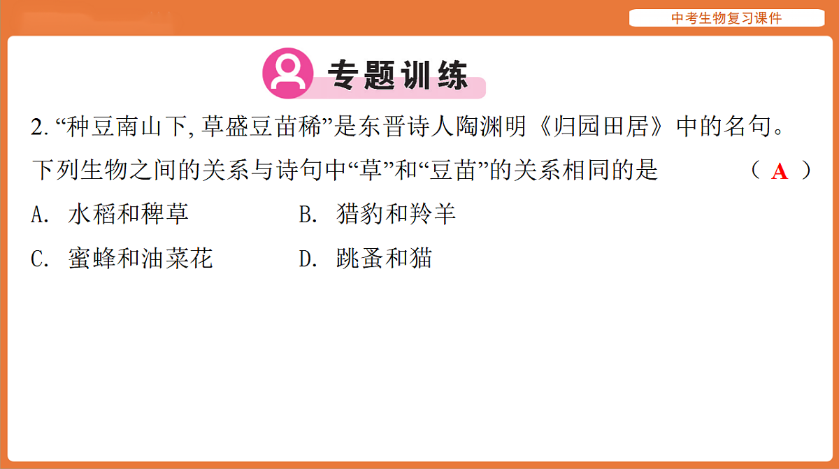 17895473第7页