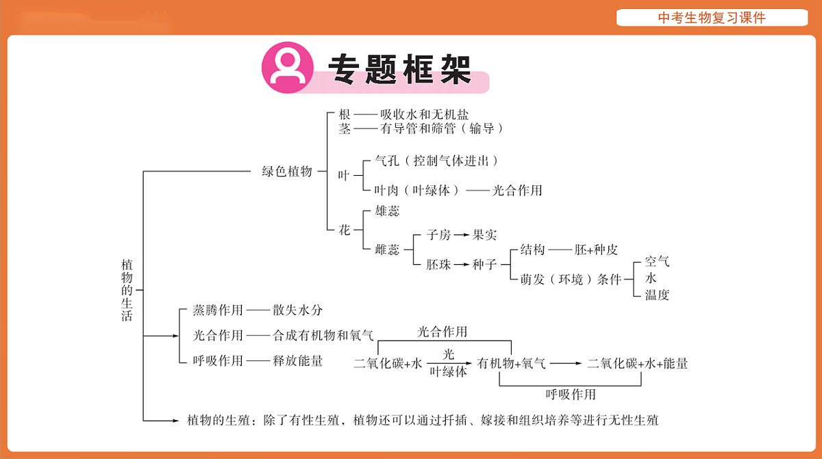 17895474第2页