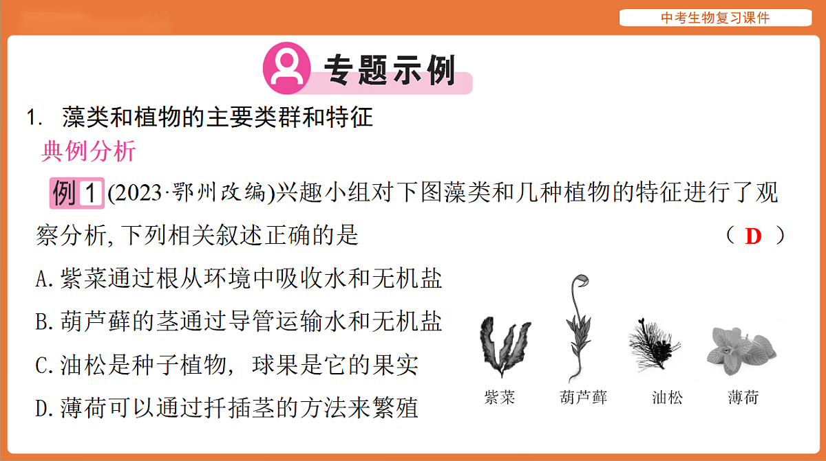 17895475第4页