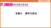 课标命题专题突破 专题六  遗传与进化-2026年中考生物二轮专题复习课件