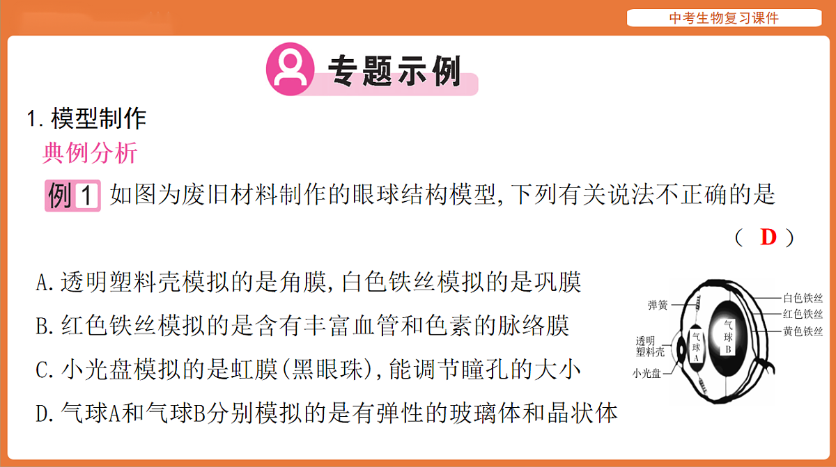 17895478第3页