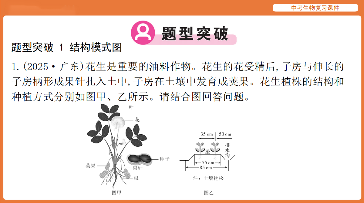 17895479第7页
