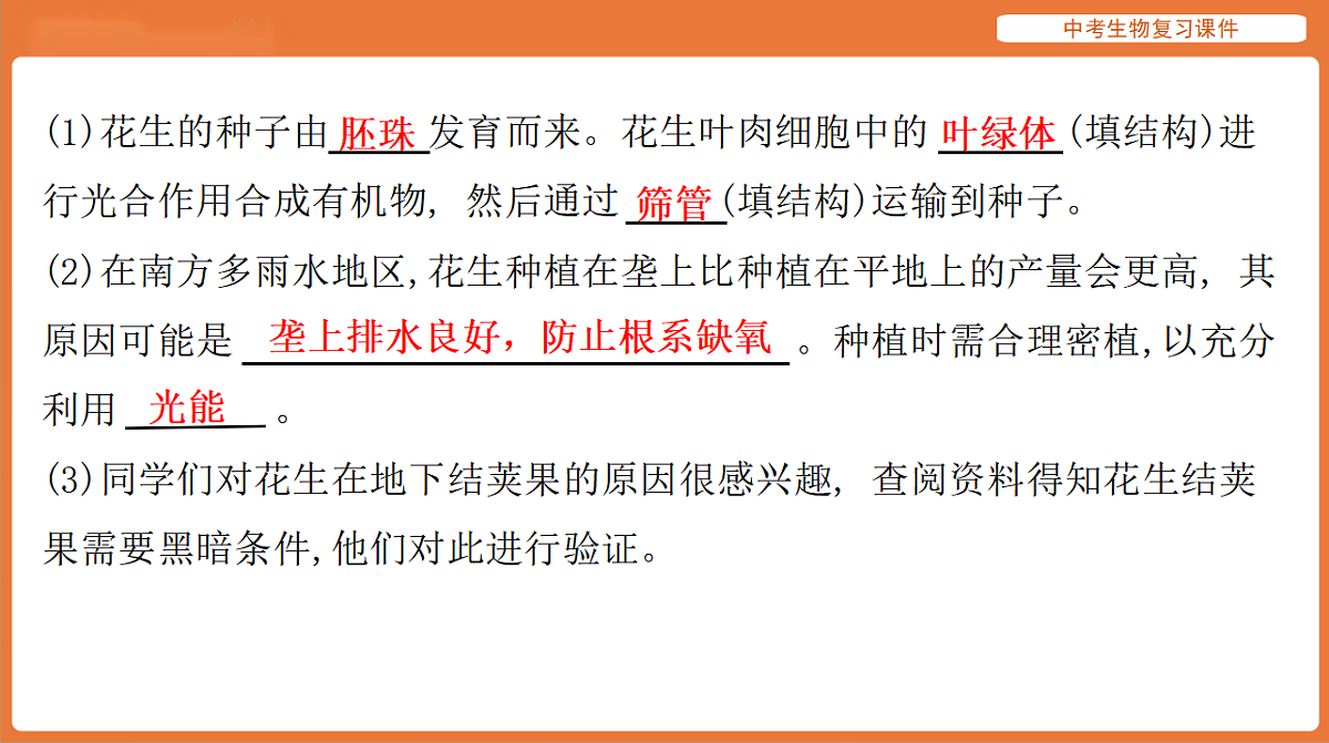 17895479第8页