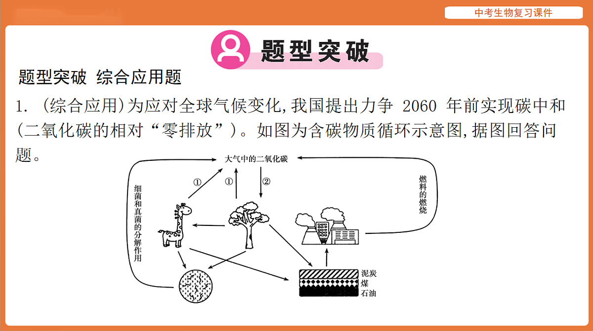 17895482第5页