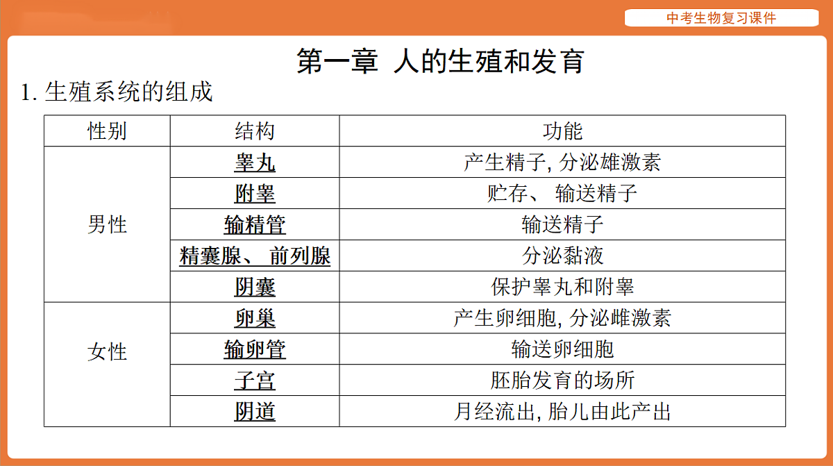 17895483第2页