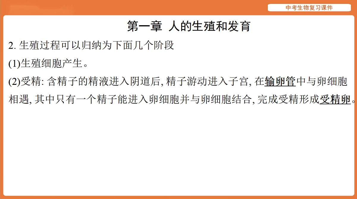 17895483第3页