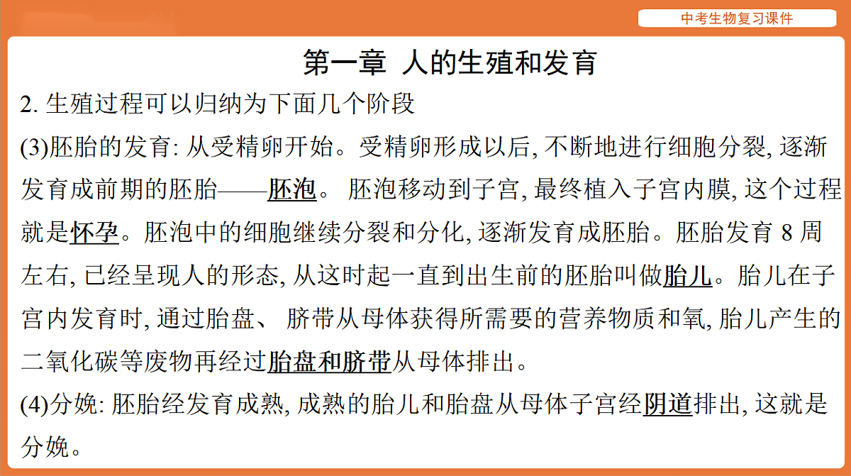 17895483第4页