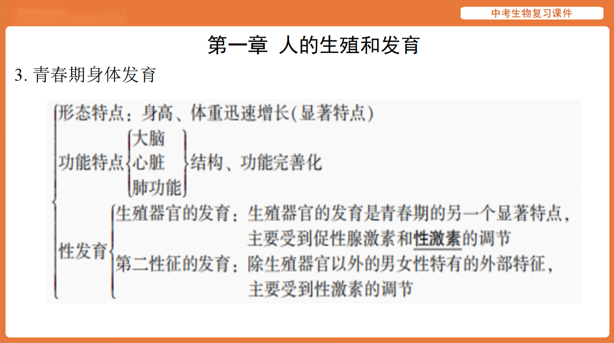 17895483第5页