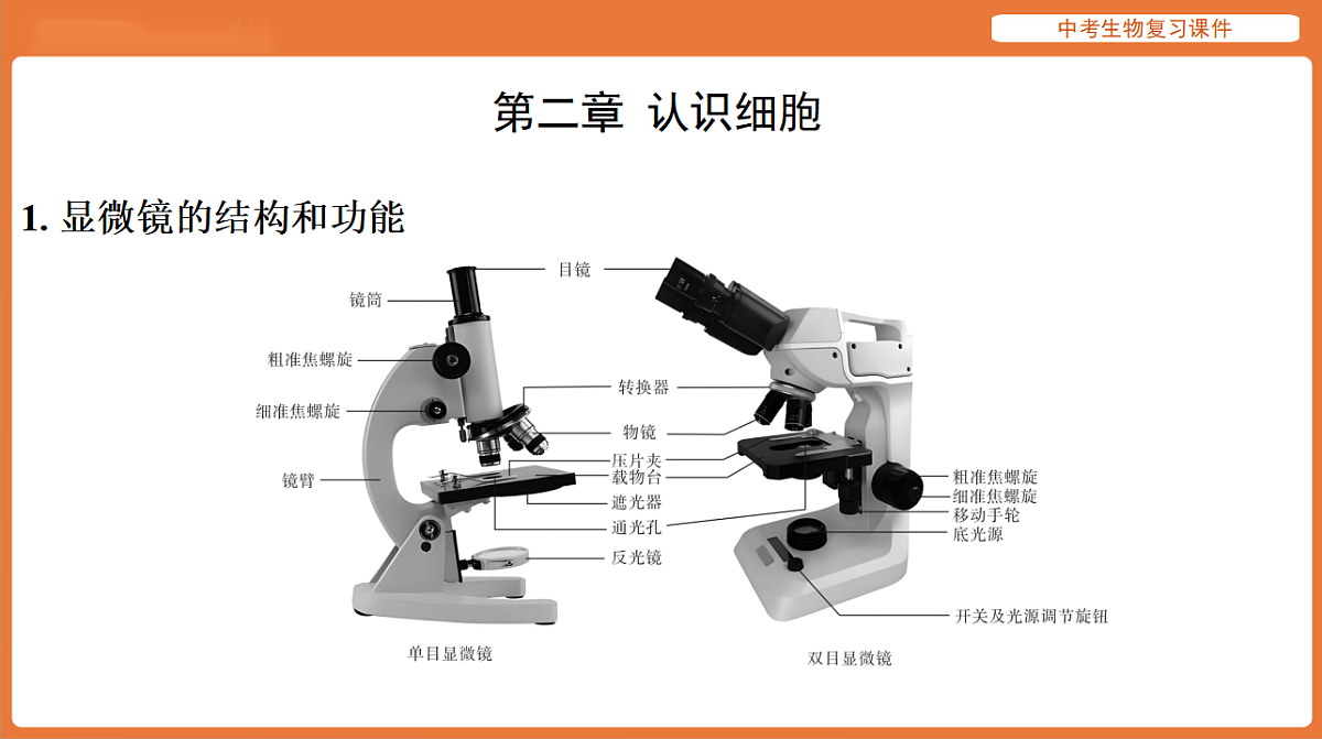 17895484第3页