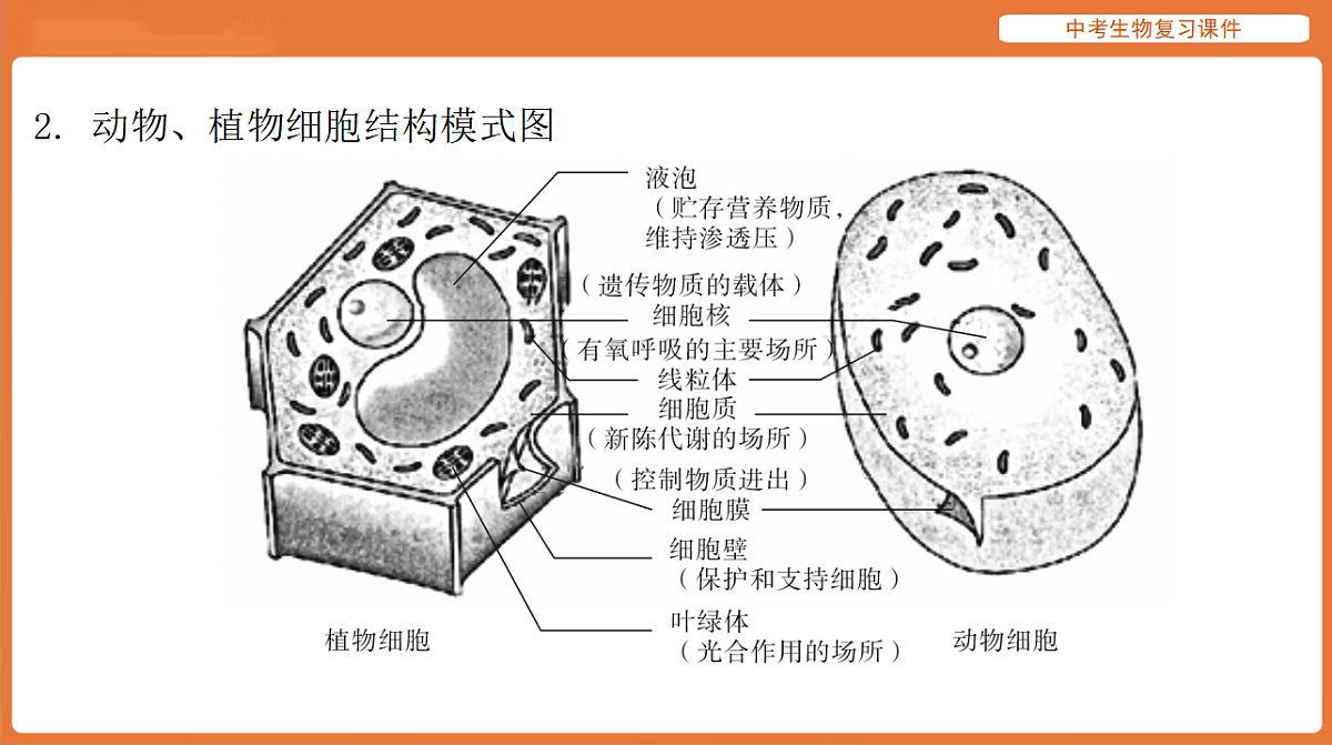 17895484第7页
