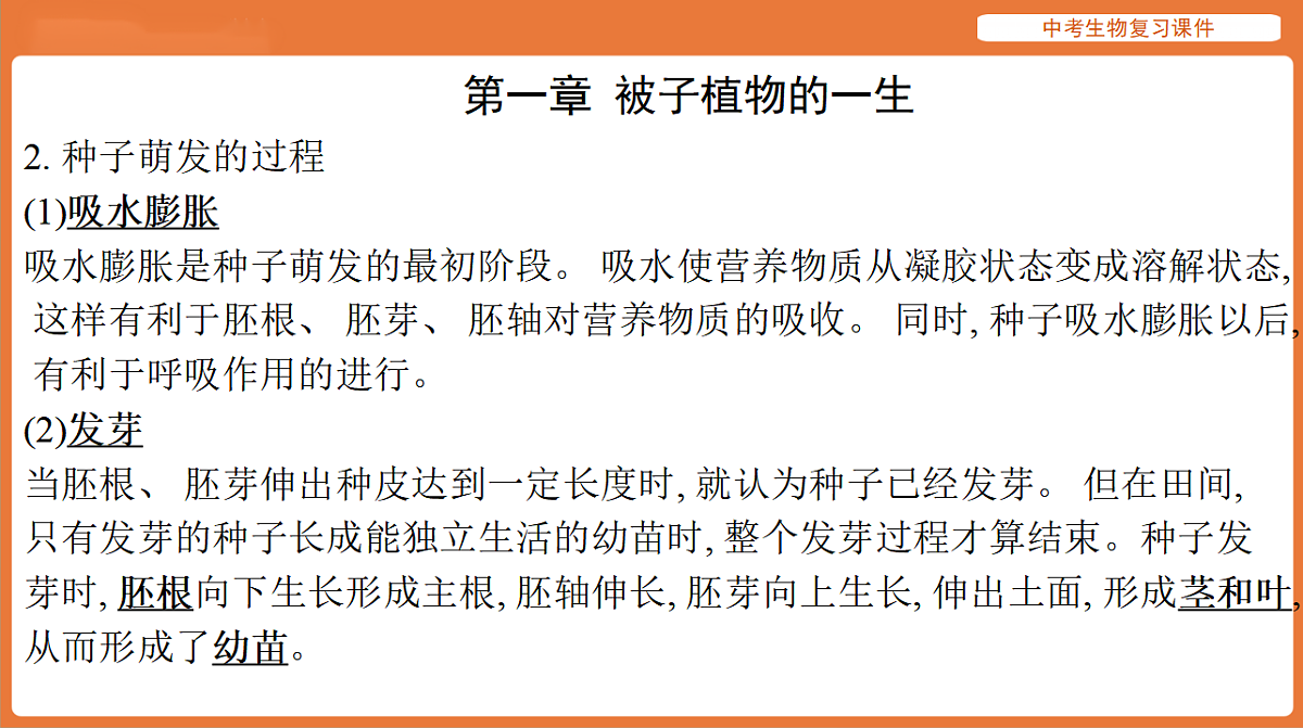 17895485第5页