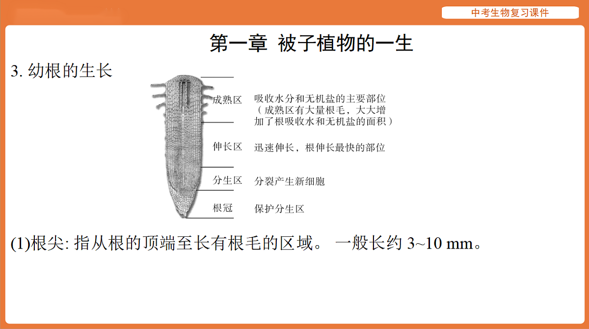 17895485第6页