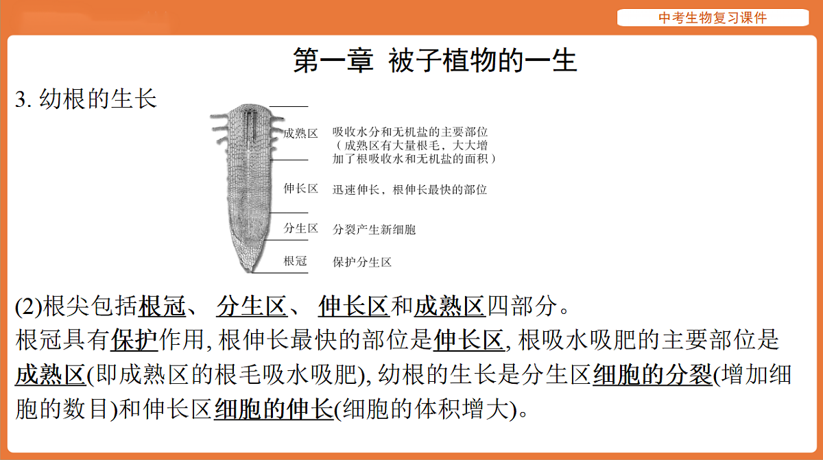 17895485第7页
