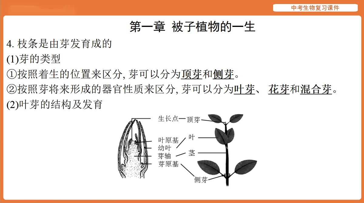 17895485第8页