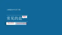 人教版(2024)九年级下册(2024)常见的盐图文课件ppt