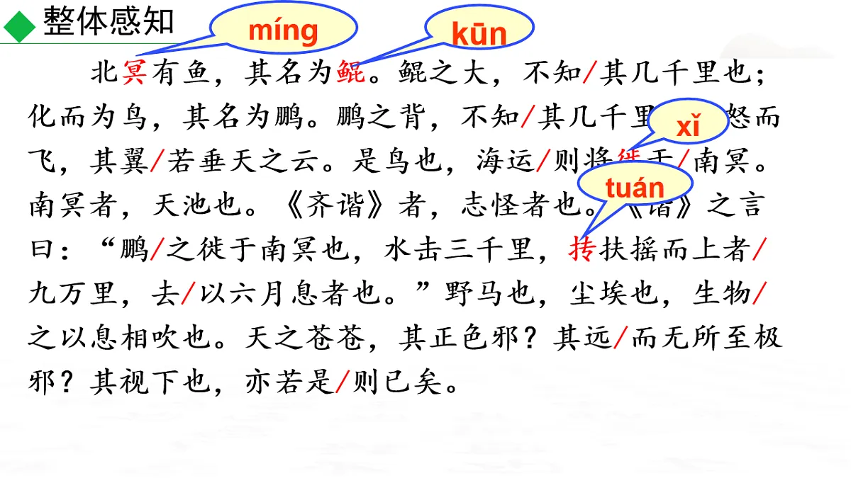 17896162第8页