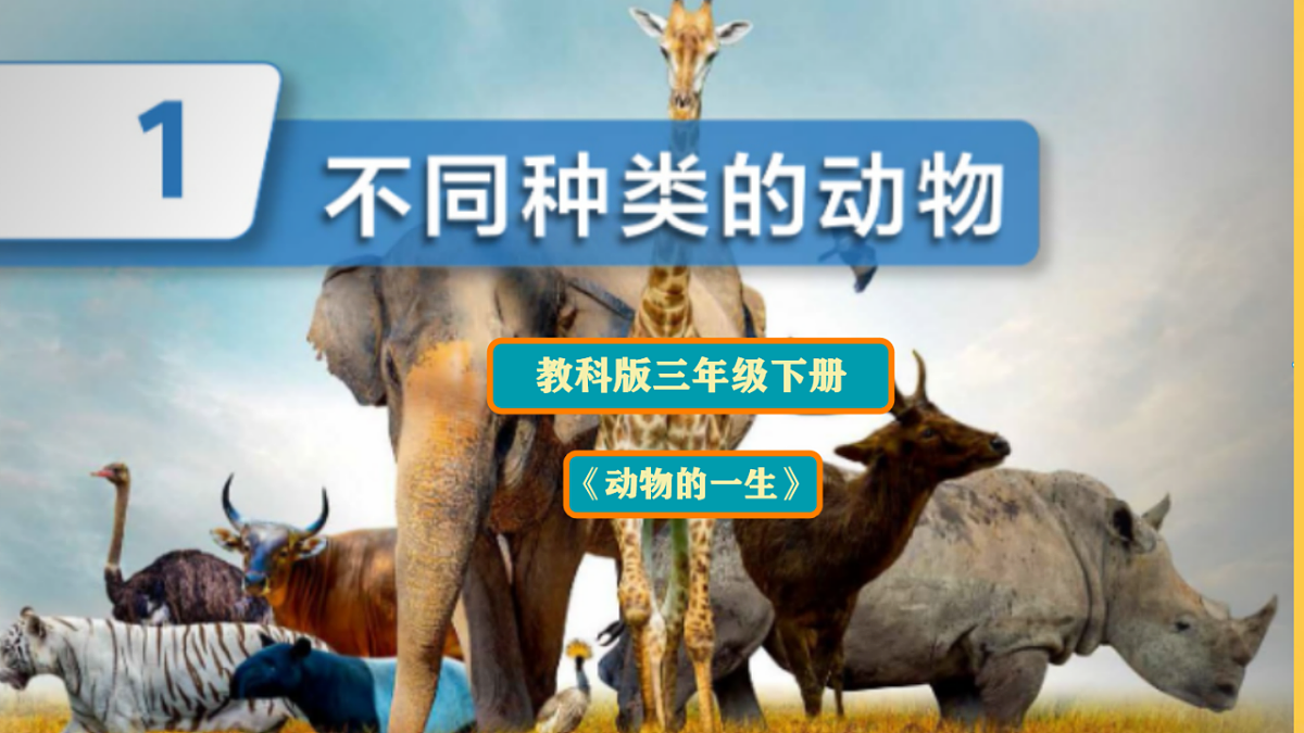 2.1 不同种类的动物第1页