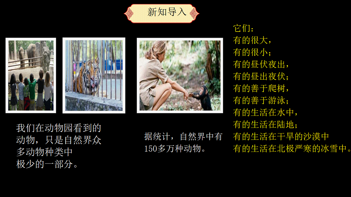 2.1 不同种类的动物第2页