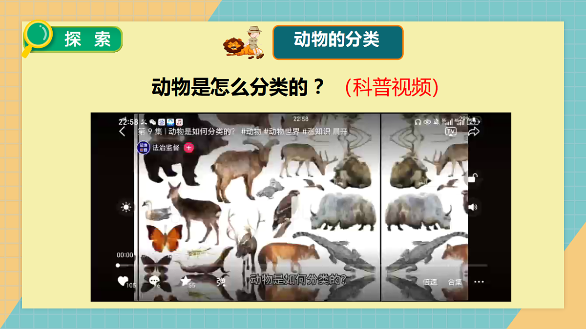 2.1 不同种类的动物第5页