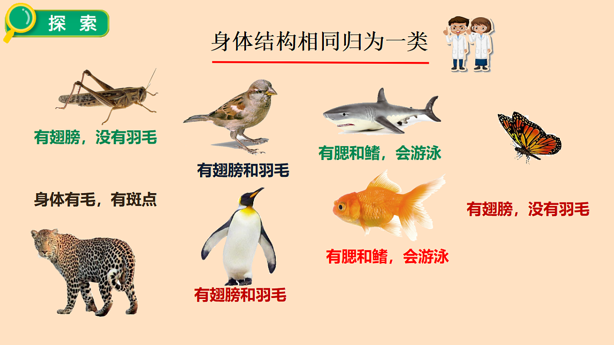 2.1 不同种类的动物第7页