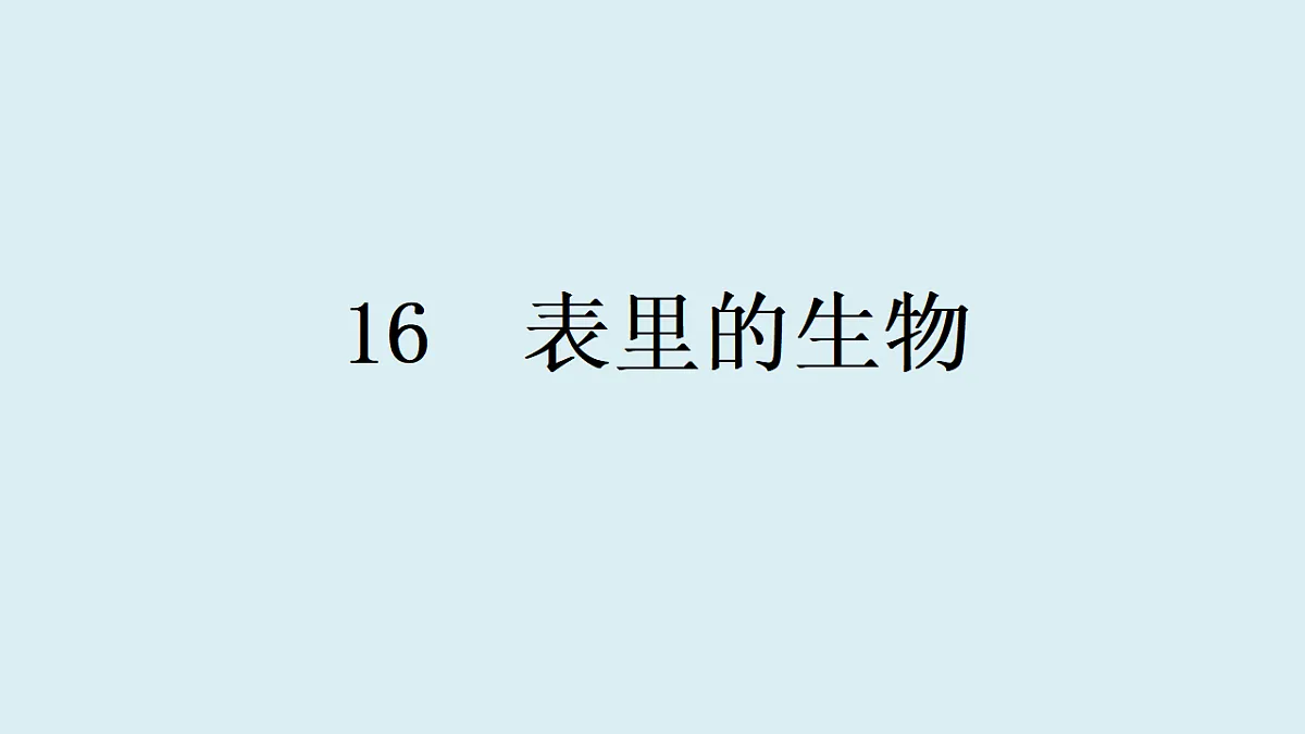 17897003第1页
