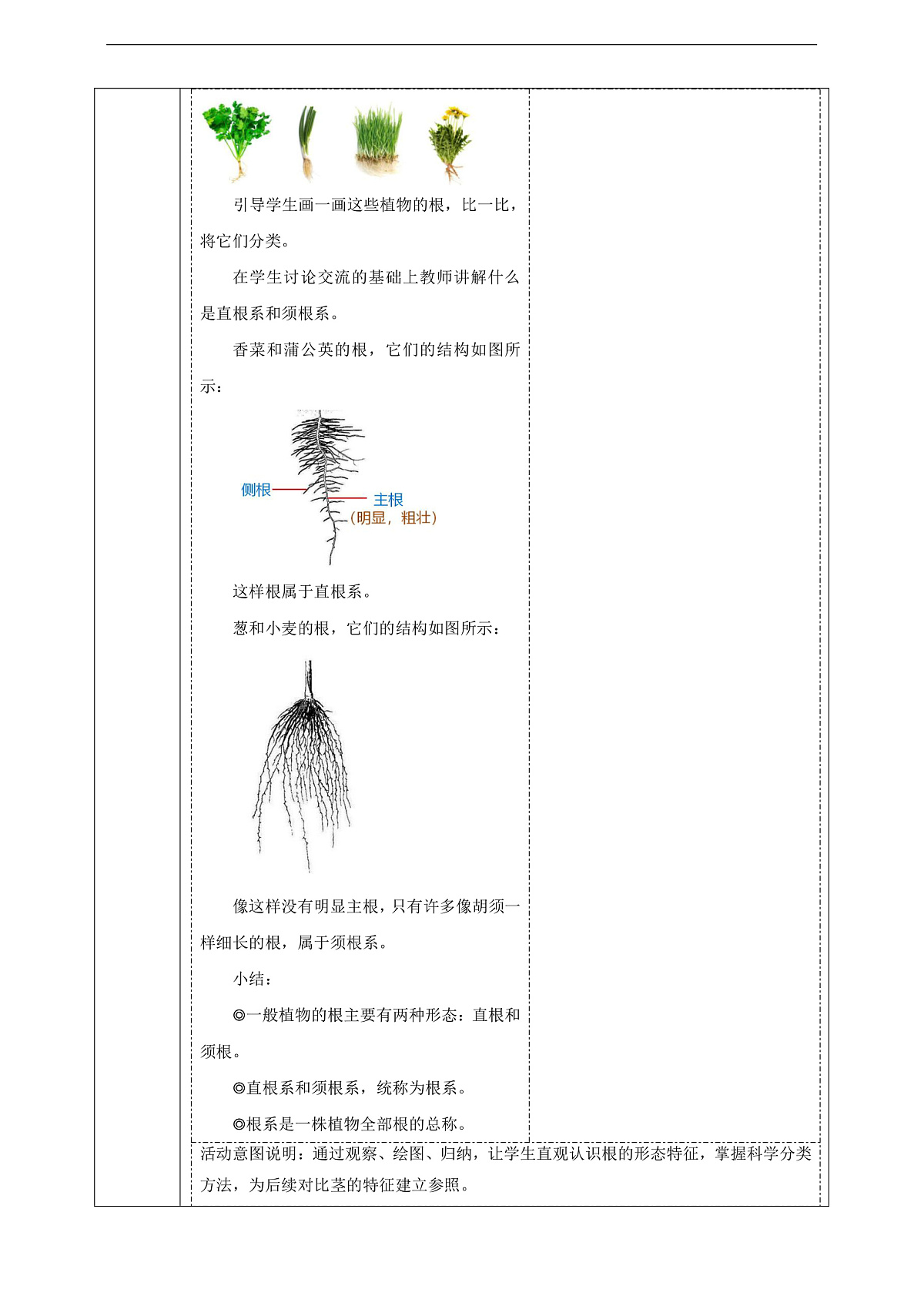 【体验单元】《藕是根还是茎》课时教案第3页