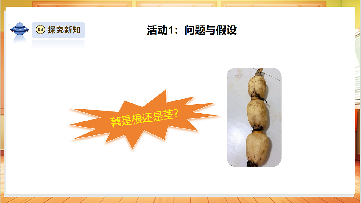 【体验单元】《藕是根还是茎》课时课件第5页