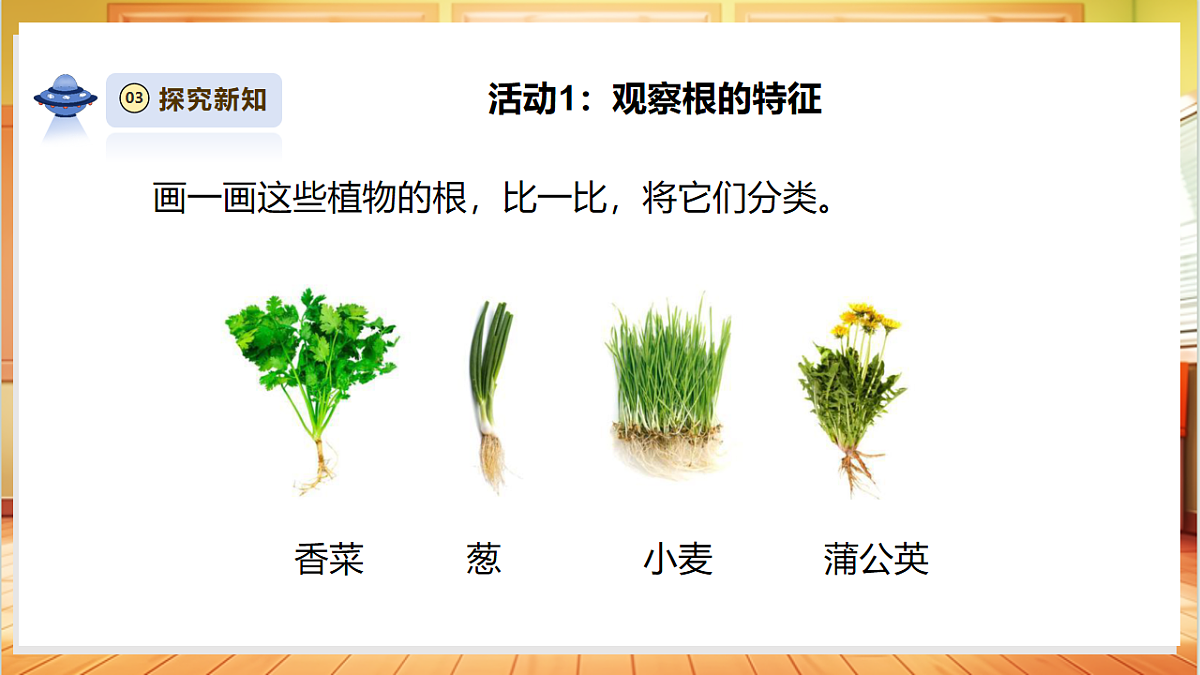 【体验单元】《藕是根还是茎》课时课件第8页