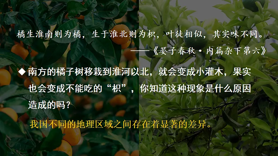 17897760第3页
