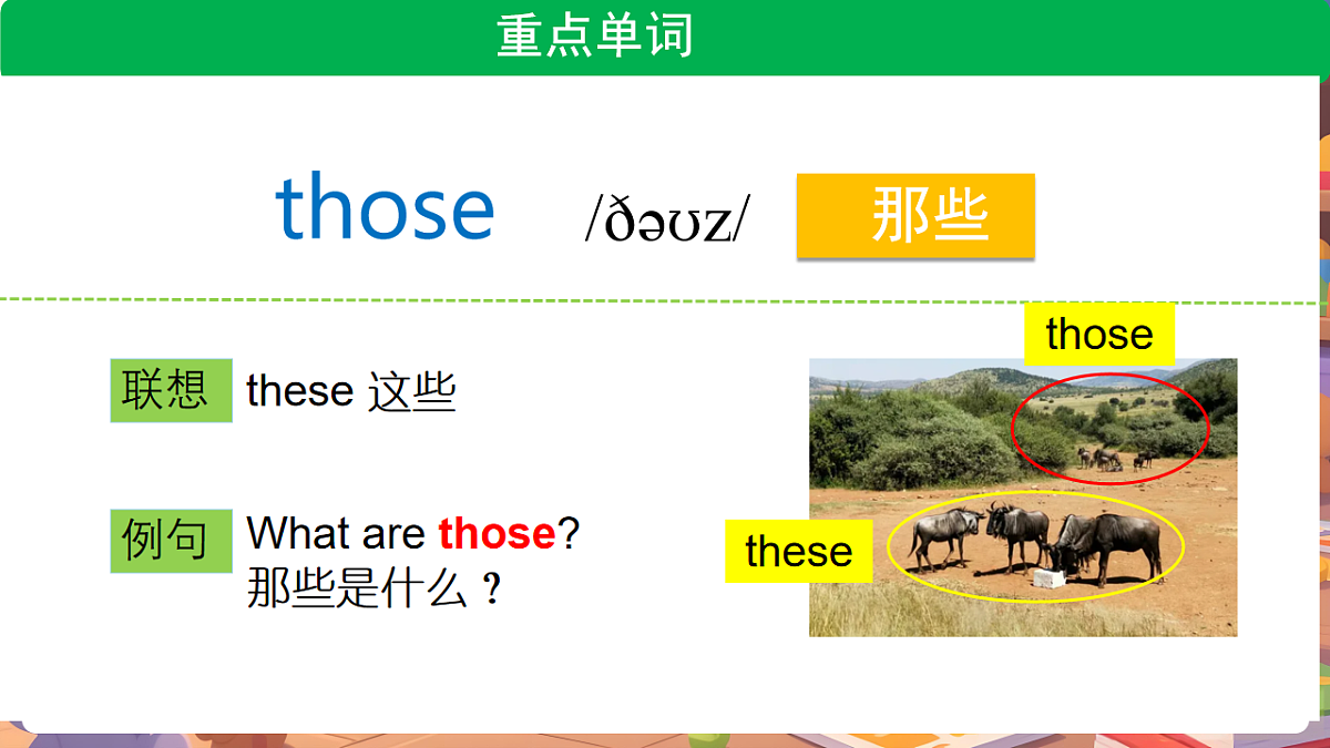 17898162第3页