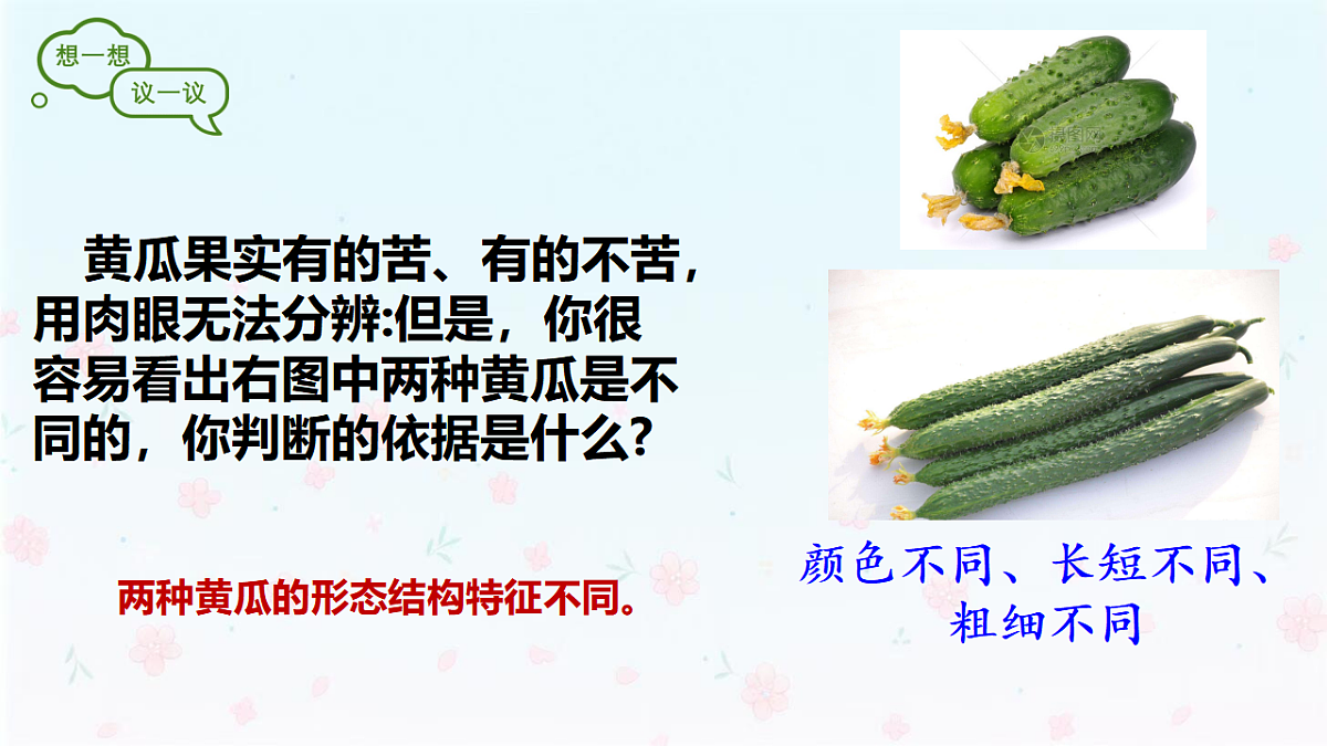 【核心生物】人教版初中生物八年级下册6.2.1《 基因与生物性状的关系》课件第4页