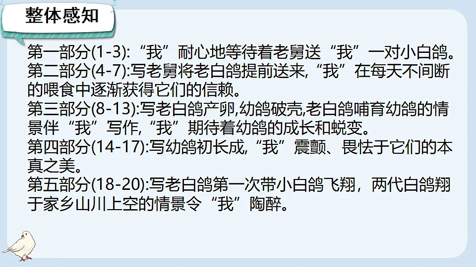 17898977第4页
