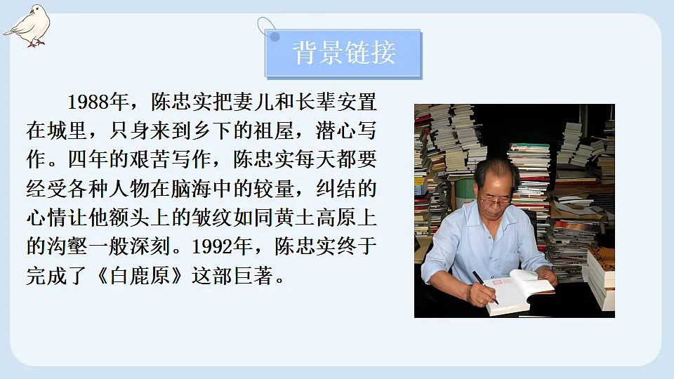 17898977第7页